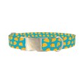 Blue Taco Dog Collar - metal silver