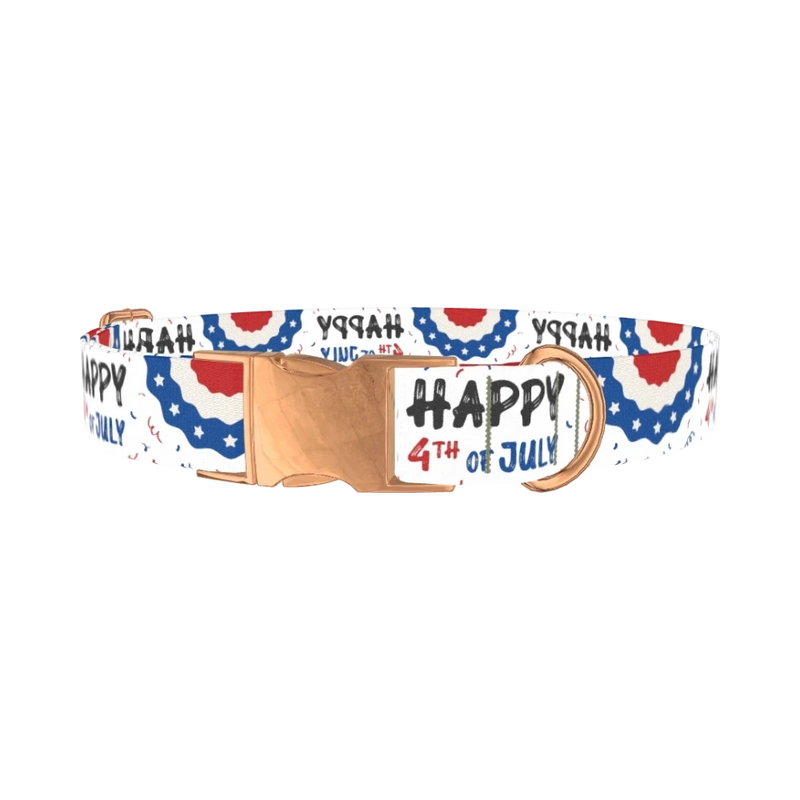Patriotic 4th of July Dog Collar - metal rose gold