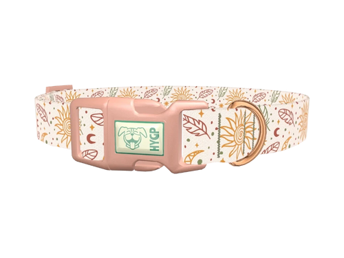 Bohemian Sun and Feather Dog Collar