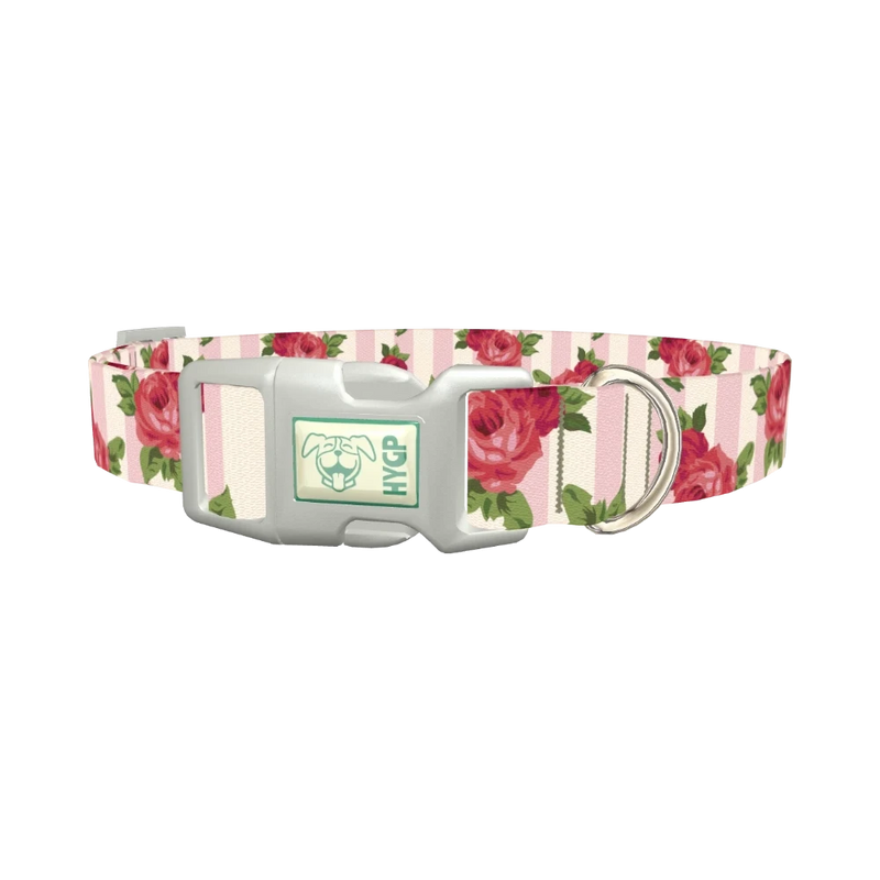 Striped Rose Pattern Dog Collar - plastic silver