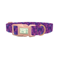 Purple Tie-Dye Dog Collar - plastic rose gold