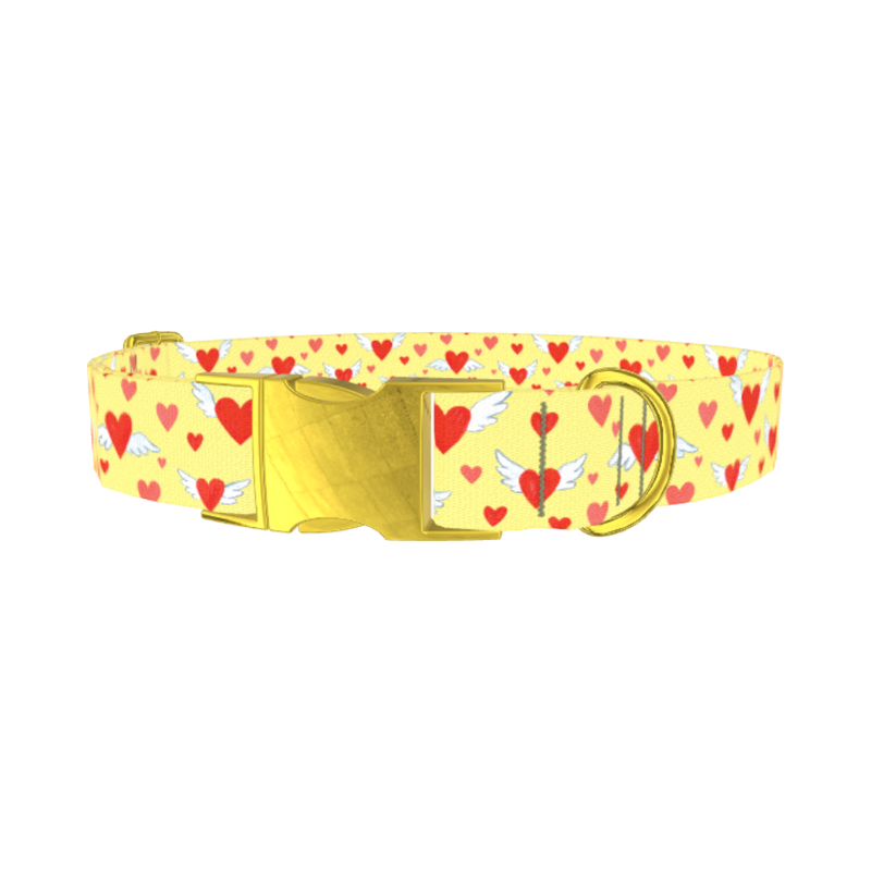 Flying Hearts Dog Collar - metal gold