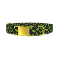 Halloween Scary Eyes Dog Collar - metal gold