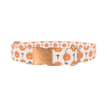 Halloween Cross-Stitch Dog Collar - metal rose gold