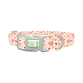 Valentine Hearts Dog Collar - plastic silver