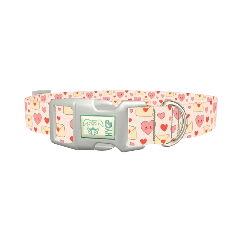 Valentine Hearts Dog Collar - plastic silver