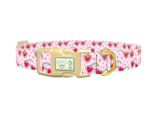 Heart Glasses Dog Collar
