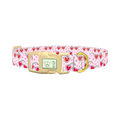 Heart Glasses Dog Collar - plastic gold