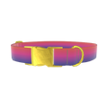 Gradient Pink Blue Dog Collar - metal gold