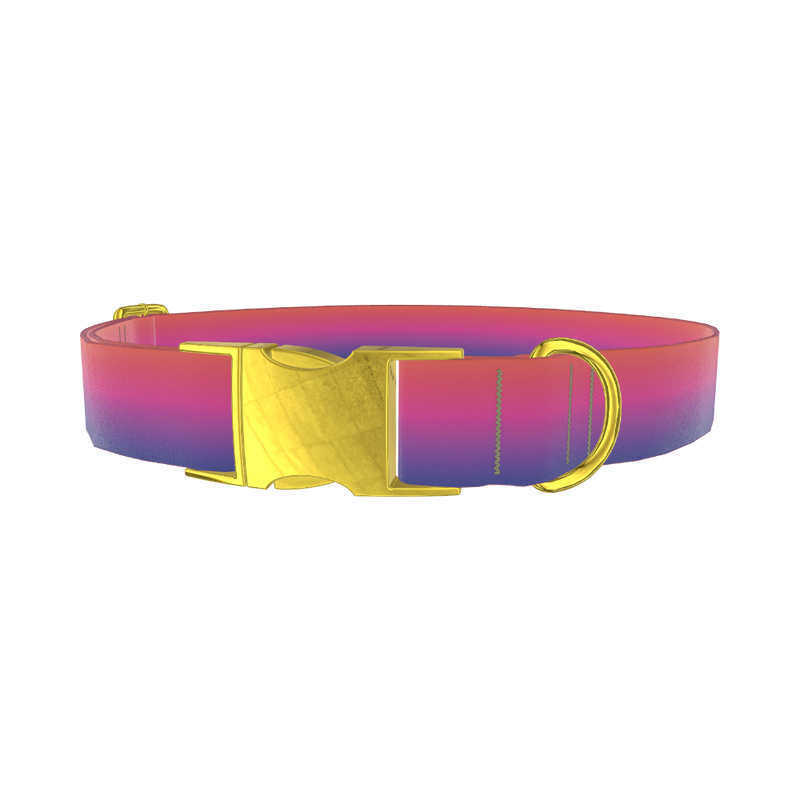Gradient Pink Blue Dog Collar - metal gold