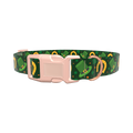 Lucky Rainbow Dog Collar - plastic gold