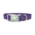 Mystical Witchcraft Dog Collar - plastic silver