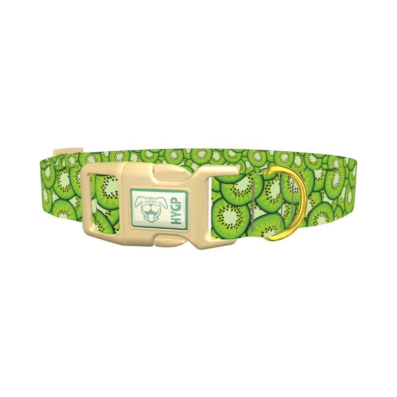 Green Kiwi Slice Dog Collar - plastic gold