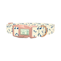 Blue Musical Notes Dog Collar - plastic rose gold