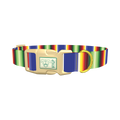 Bold Stripe Dog Collar - plastic gold