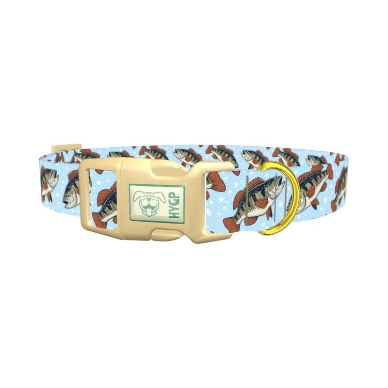 Bass Fish Dog Collar - plastic gold