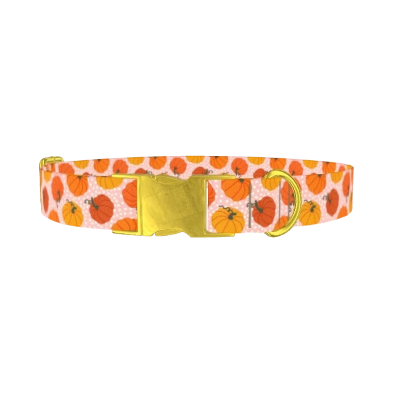 Halloween Pumpkin Dot Dog Collar - metal gold