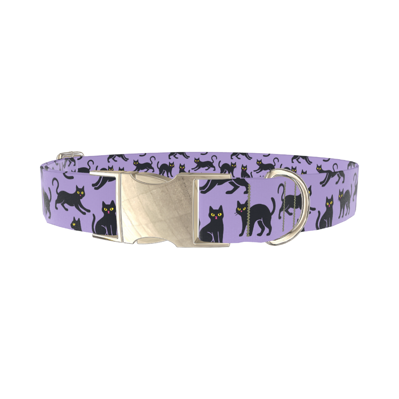 Purple Black Cat Halloween Dog Collar - metal gold
