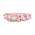 Heart Glasses Dog Collar - plastic rose gold