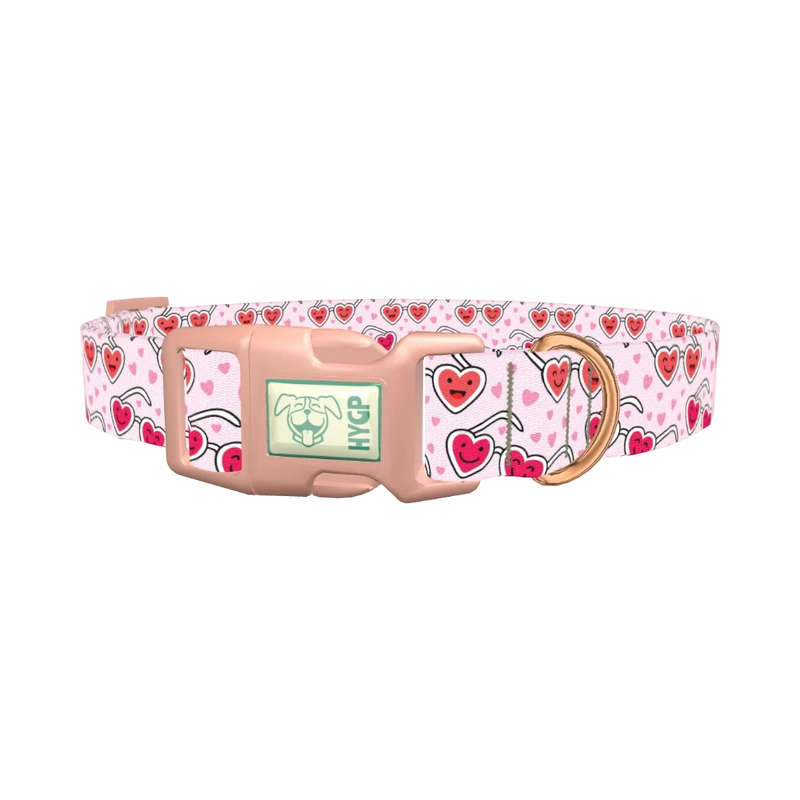 Heart Glasses Dog Collar - plastic rose gold