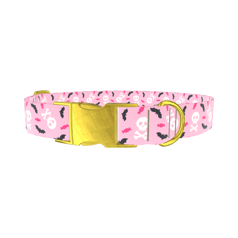Halloween Skulls and Bats Dog Collar - metal rose gold