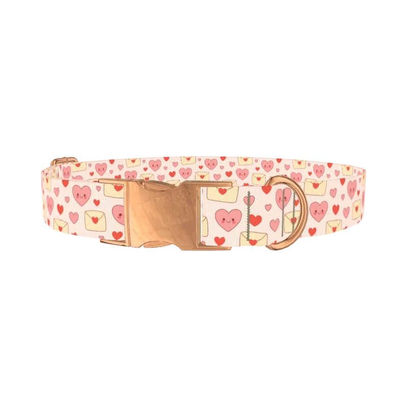 Valentine Hearts Dog Collar - metal rose gold