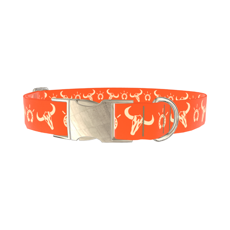 Western Skull Dog Collar - metal gold