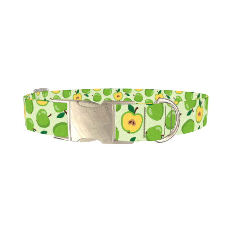 Green Apple Dog Collar - metal silver