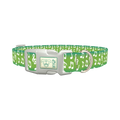 Green Musical Note Dog Collar - plastic silver