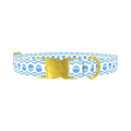 Cyan Skull Pattern Dog Collar - metal gold