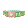 Green Musical Note Dog Collar - plastic rose gold