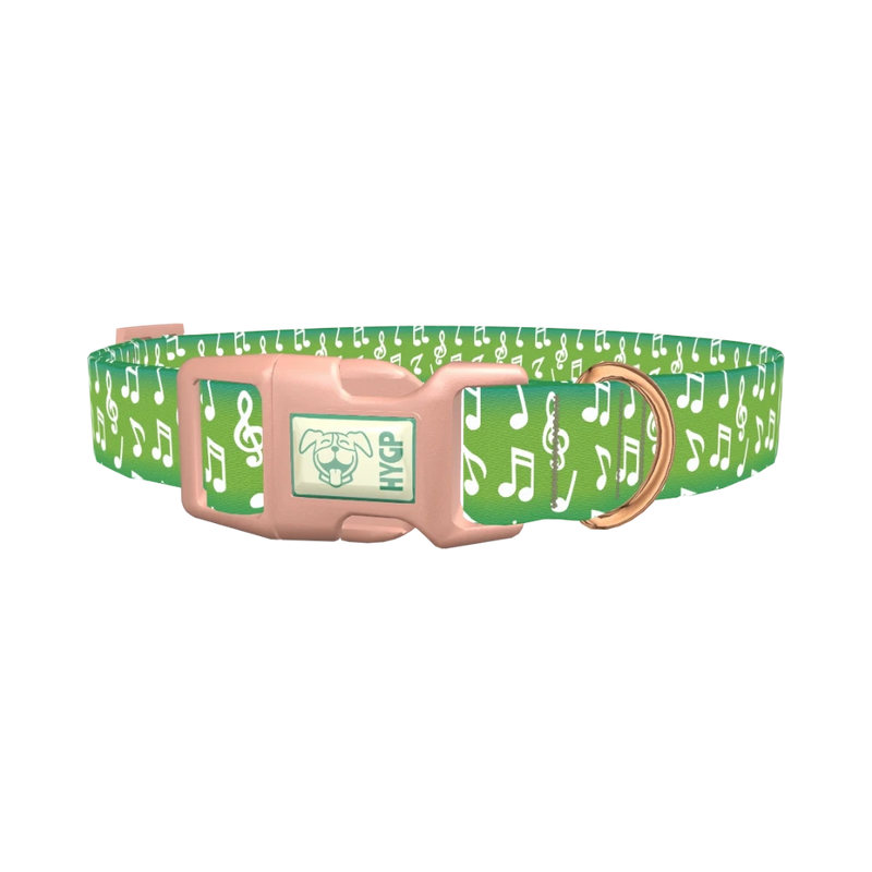 Green Musical Note Dog Collar - plastic rose gold