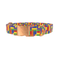 Colorful Block Dog Collar - Thumbnail 2