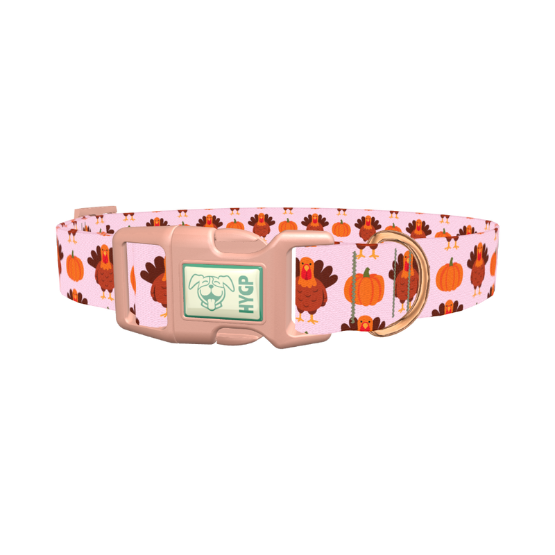 Turkey Pumpkin Pattern Dog Collar - plastic rose gold