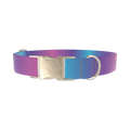 Blue Pink Ombre Dog Collar - metal silver