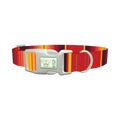 Mexican Red Stripe Dog Collar - plastic silver
