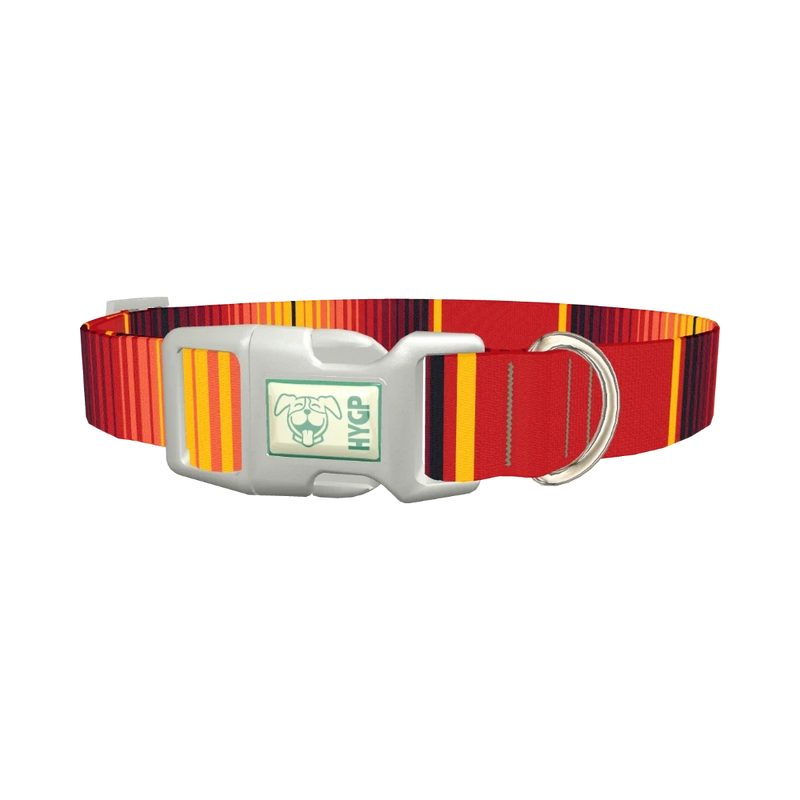 Mexican Red Stripe Dog Collar - plastic silver