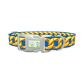 Gold Chain Blue Dog Collar - plastic silver