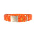 Halloween Mix Dog Collar - metal gold