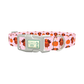 Turkey Pumpkin Pattern Dog Collar - plastic silver