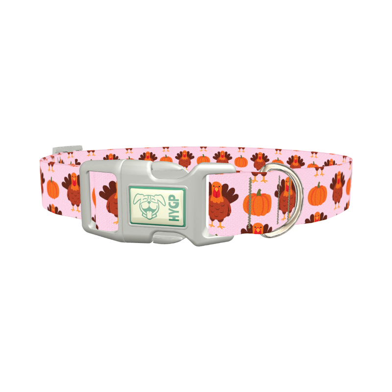 Turkey Pumpkin Pattern Dog Collar - plastic silver