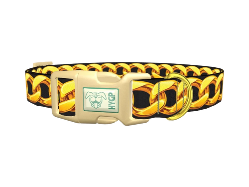 Gold Chain Link Dog Collar