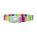 Rainbow Stripe Dog Collar - plastic silver