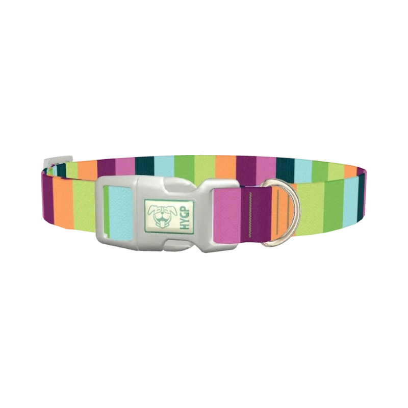 Rainbow Stripe Dog Collar - plastic silver