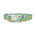 Floral Narcissus Dog Collar - plastic silver