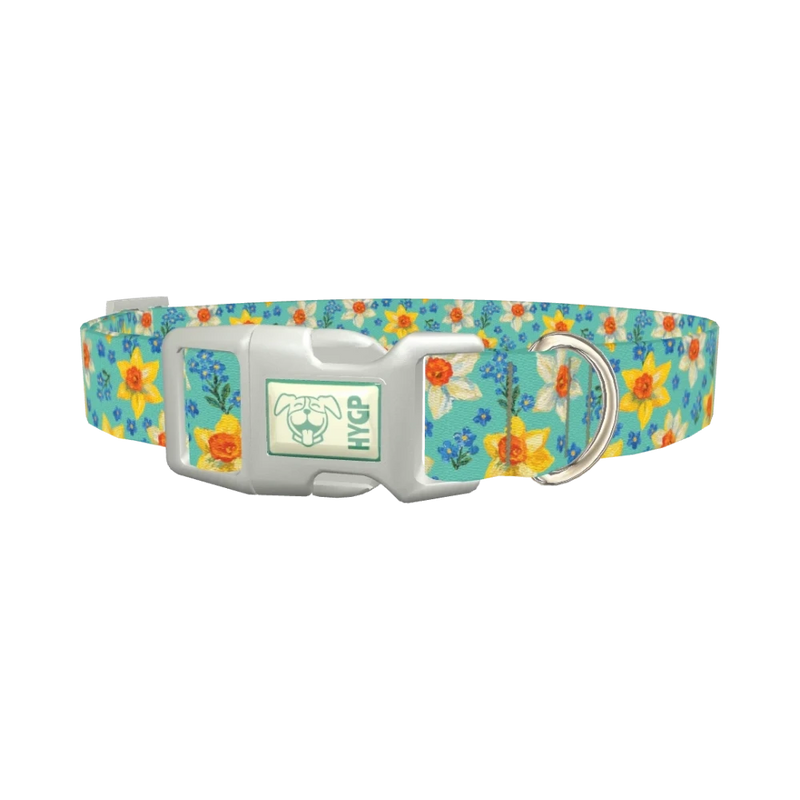 Floral Narcissus Dog Collar - plastic silver