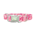 Pink Paint Splatter Dog Collar - plastic silver