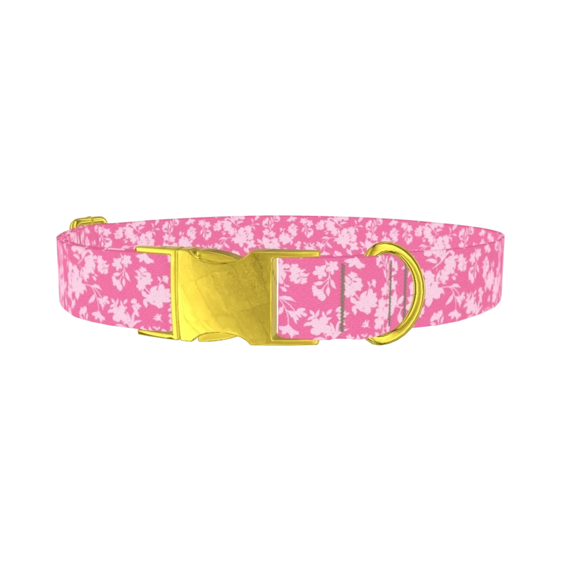 Pink Floral Silhouette 8870524649687 Dog Collar - metal gold