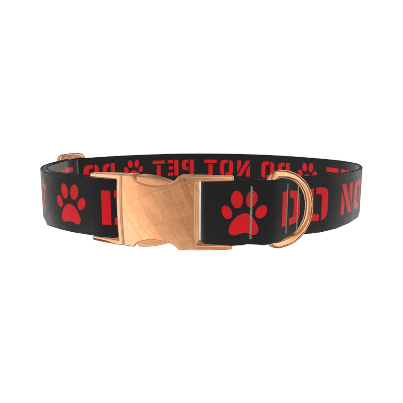 Warning Sign Dog Collar - metal rose gold