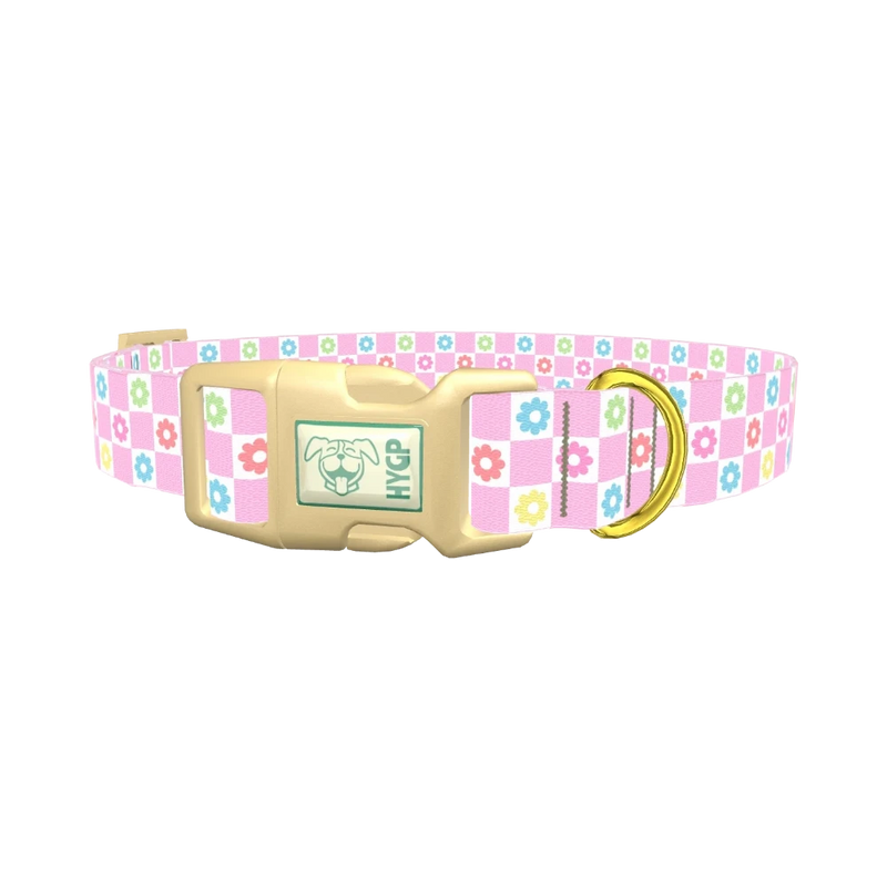 Floral Check Dog Collar - plastic gold